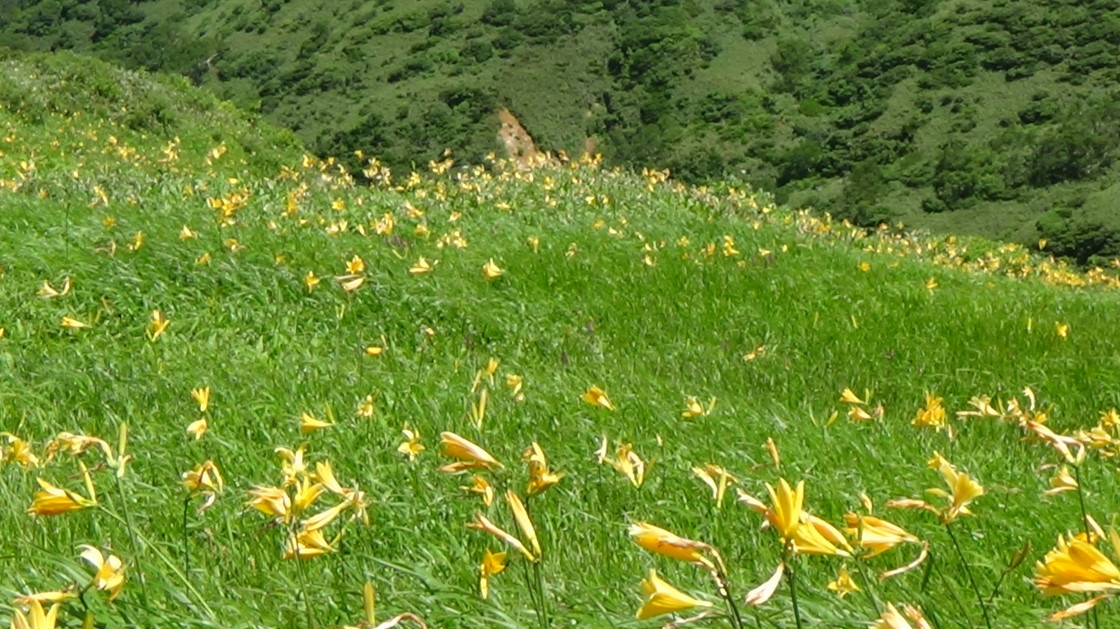 DSC01147